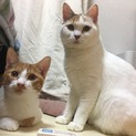 抱っこ大好きちびっこ