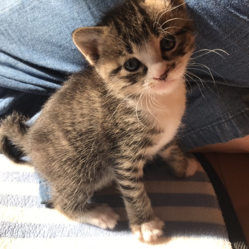 きーくんのカバー写真