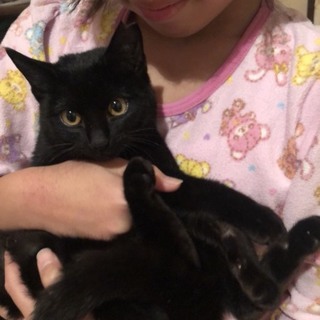 丸顔の可愛い女の子 黒猫のるうちゃん