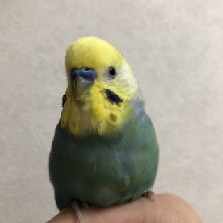 たくさんのご応募ありがとうございました