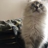 ゆきﾁｬﾝ どこ見てるの かな…… (*ﾟ▽ﾟ)ﾉ
