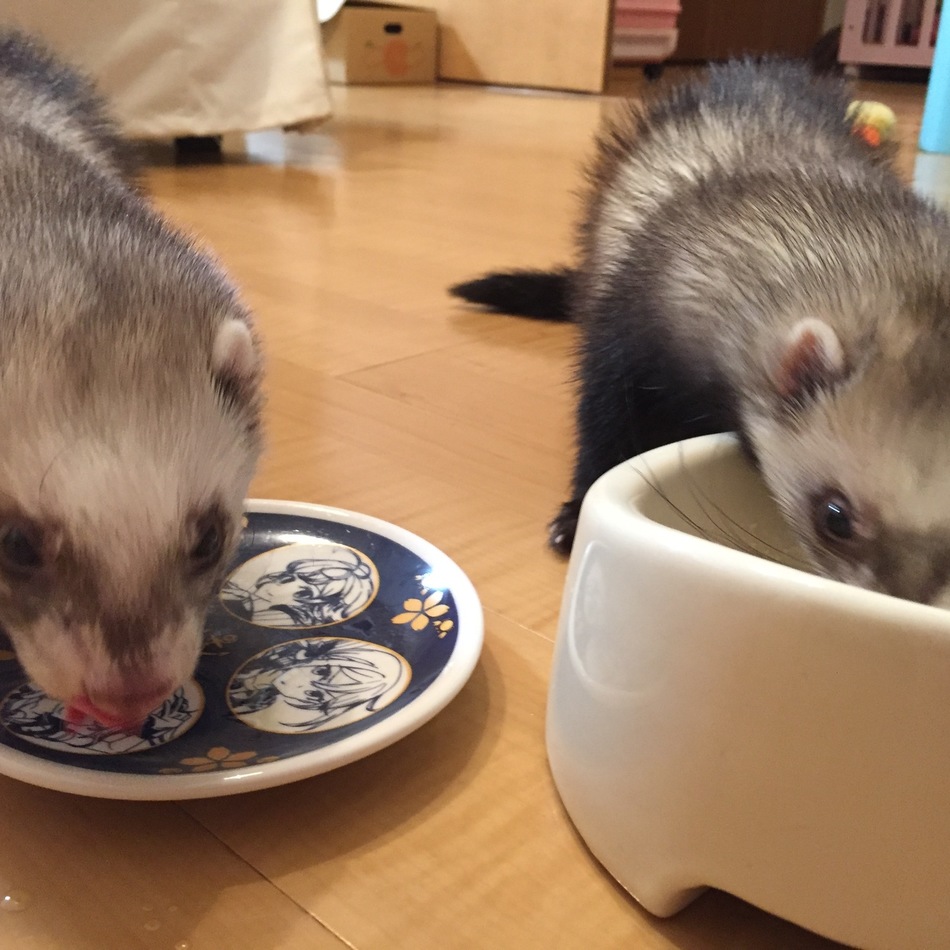 焼肉のカバー写真