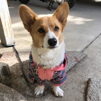 ベル