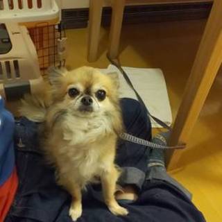 ちっちゃな可愛い麦くん