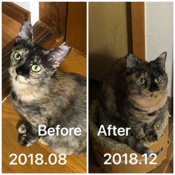 最近の出来事まとめて