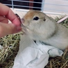 の写真
