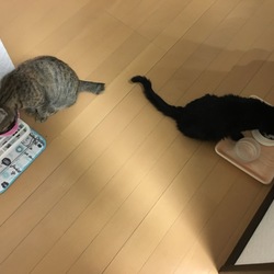 保護から１週間・・・