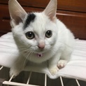 丸顔のかわい子ちゃんです！