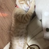 の写真