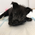 遊びたい盛りのかまってちゃん♪