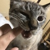 ささじま