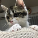 里親募集