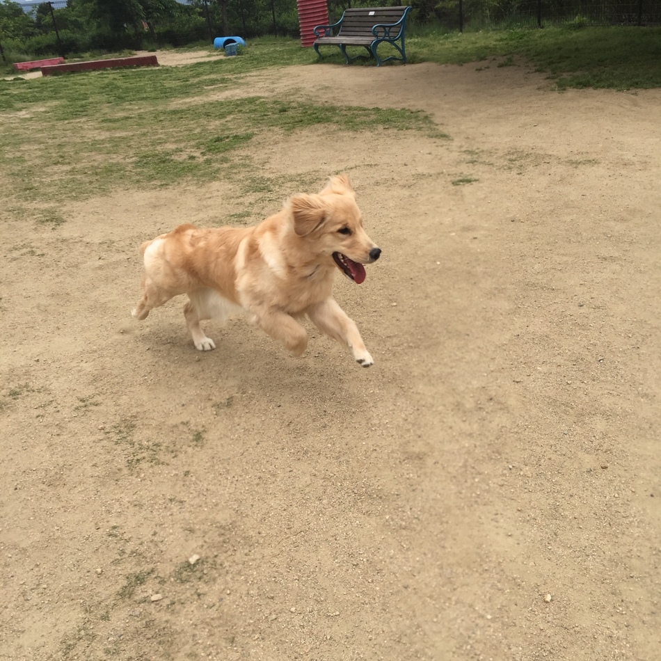 マリーのカバー写真