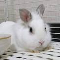 温かい居場所を