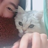 ふくみの