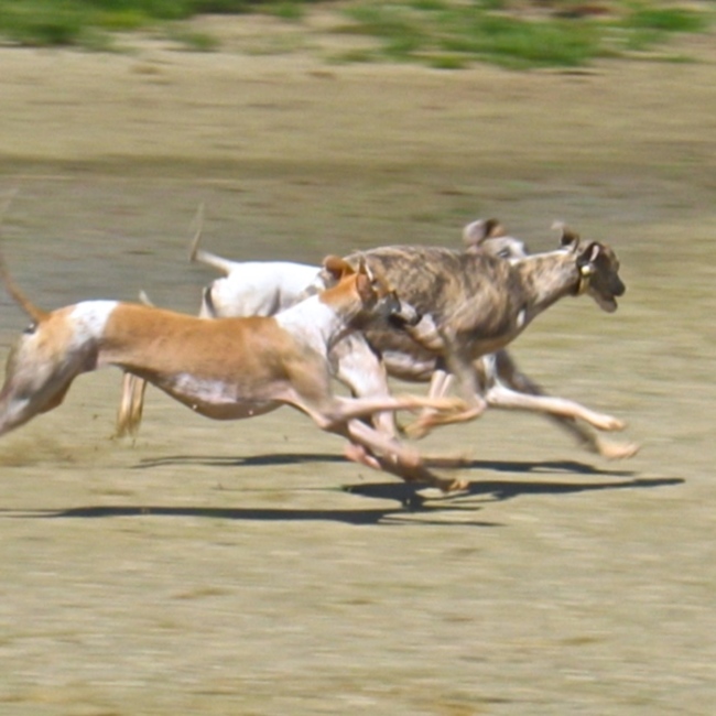 ウイママのカバー写真
