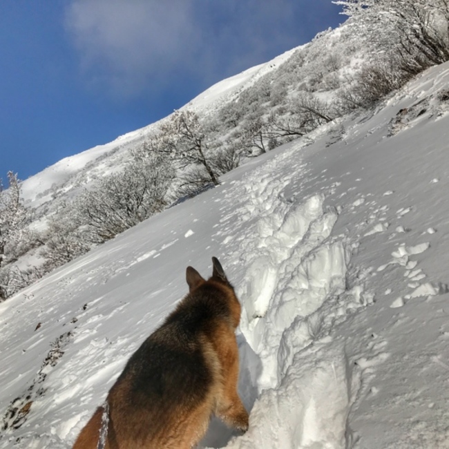 fumitcoのカバー写真