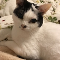ルナ