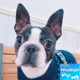 「もち巾着」♀