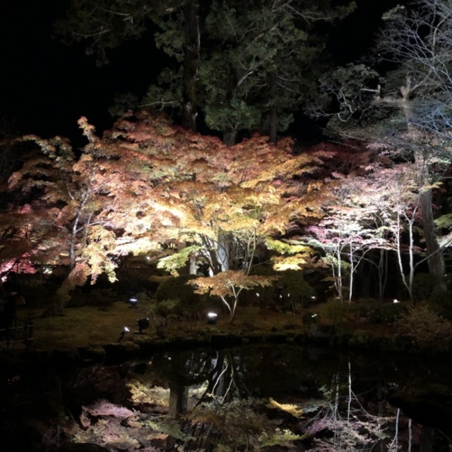 hikkeyのカバー写真