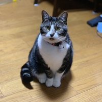 まろ