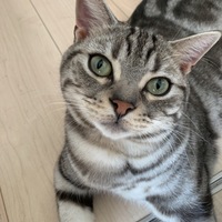 うら