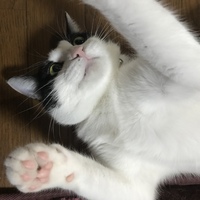 すず