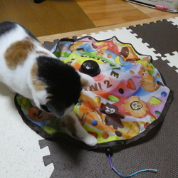 「プレゼントどれ気に入った？」サムネイル3