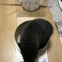 2018年11月11日生まれ♡生後30日目☆
