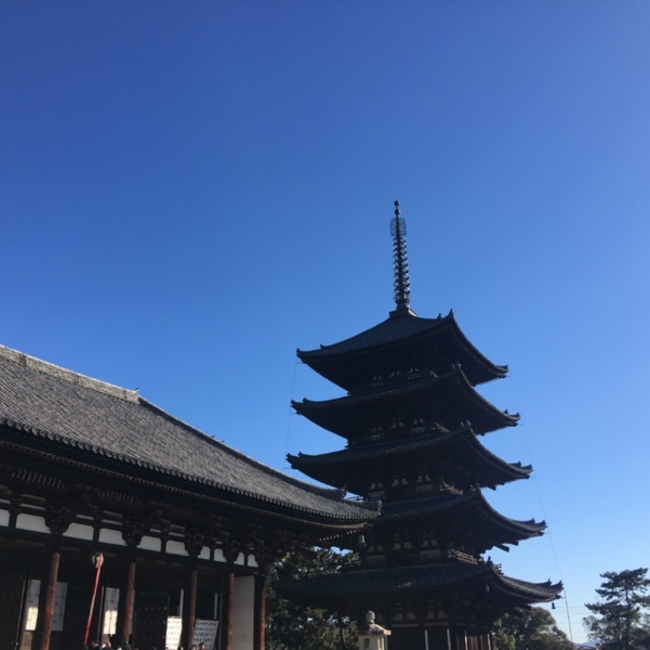 mimi3377のカバー写真