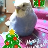 メリークリスマス