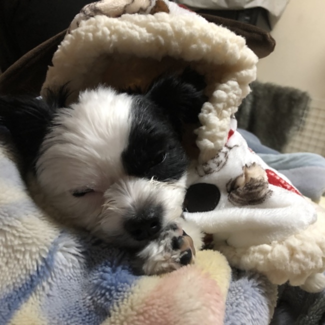 Takahiro Yamamoto のカバー写真