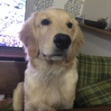 ありがとうございました