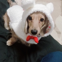 アテナ