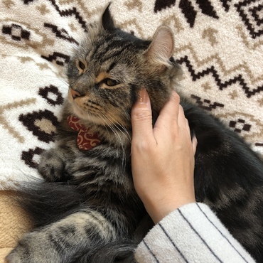 (*´д`*)ﾊｧﾊｧ
