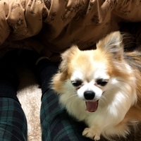 メイ