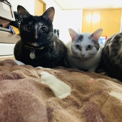 1年が経ち、、、