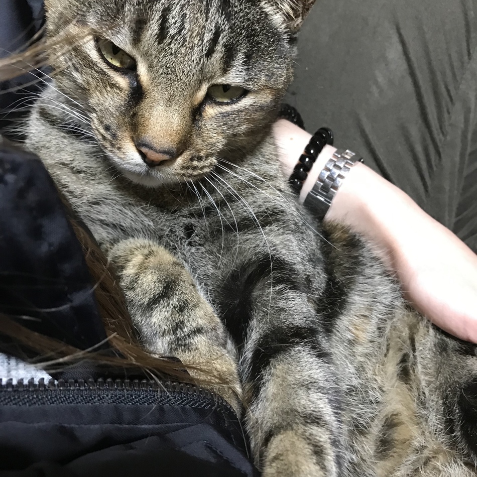 ツナのカバー写真