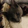 もはやジュノンボーイ