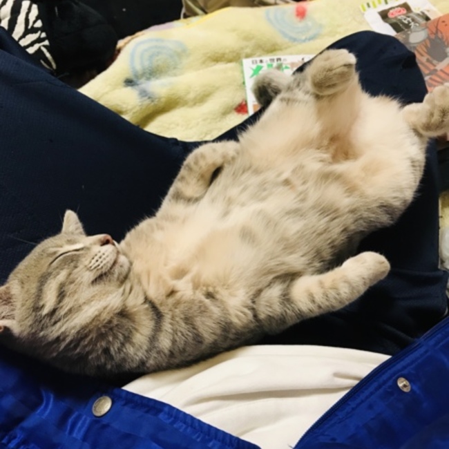 零毀のカバー写真