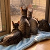 今日はあったかいねぇ日向ぼっこにぴったり