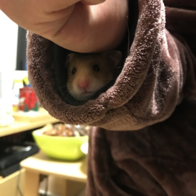 eggerのカバー写真