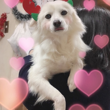 サンタさんのお手伝い(*^^)v