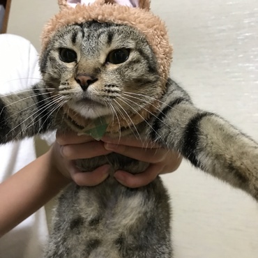 の写真
