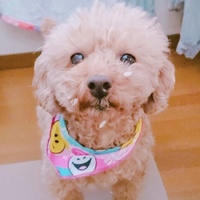 もこ