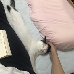 しあわせな時間♡