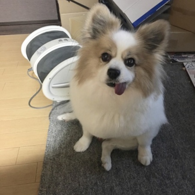 うるけんのカバー写真