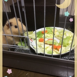 クリスマス☆