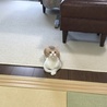 の写真