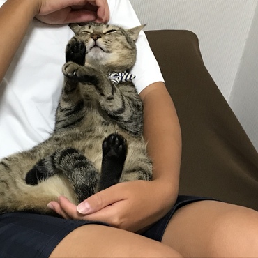 の写真